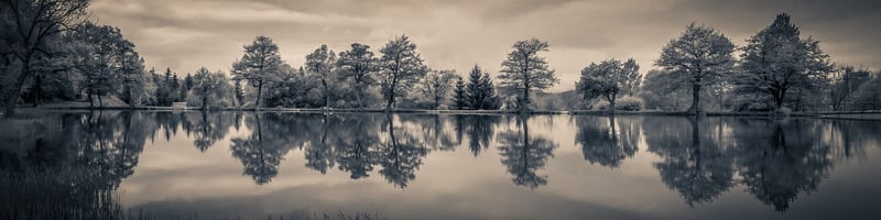 Lakeside Vows